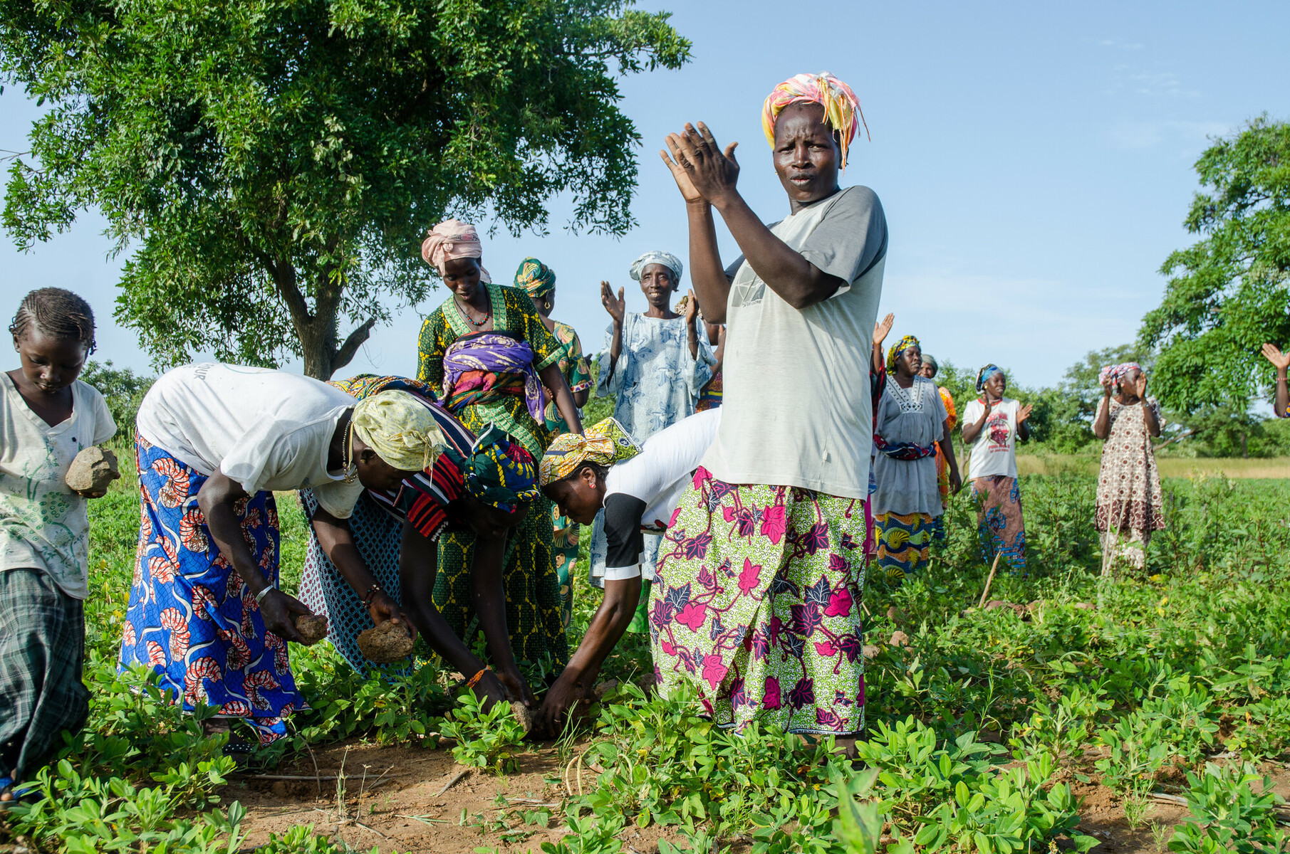 Community Climate Action