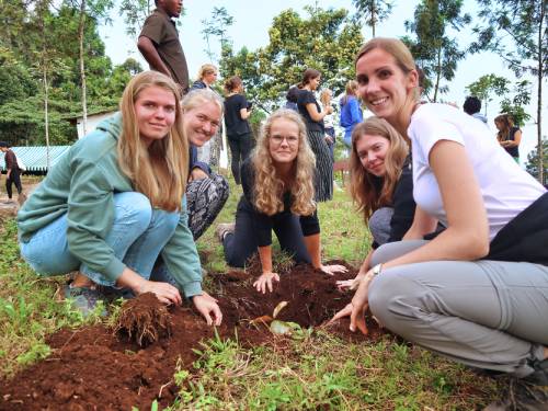Tree Planting