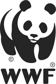 Partner 4